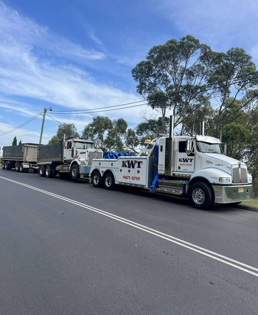 Business and fleet vehicle transport for multiple vehicles